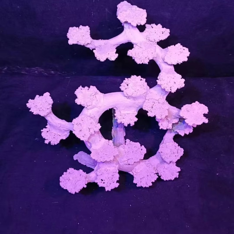 Aquascaping Saltwater Aquarium - đánh giá và giá Aquarium Marine Rock