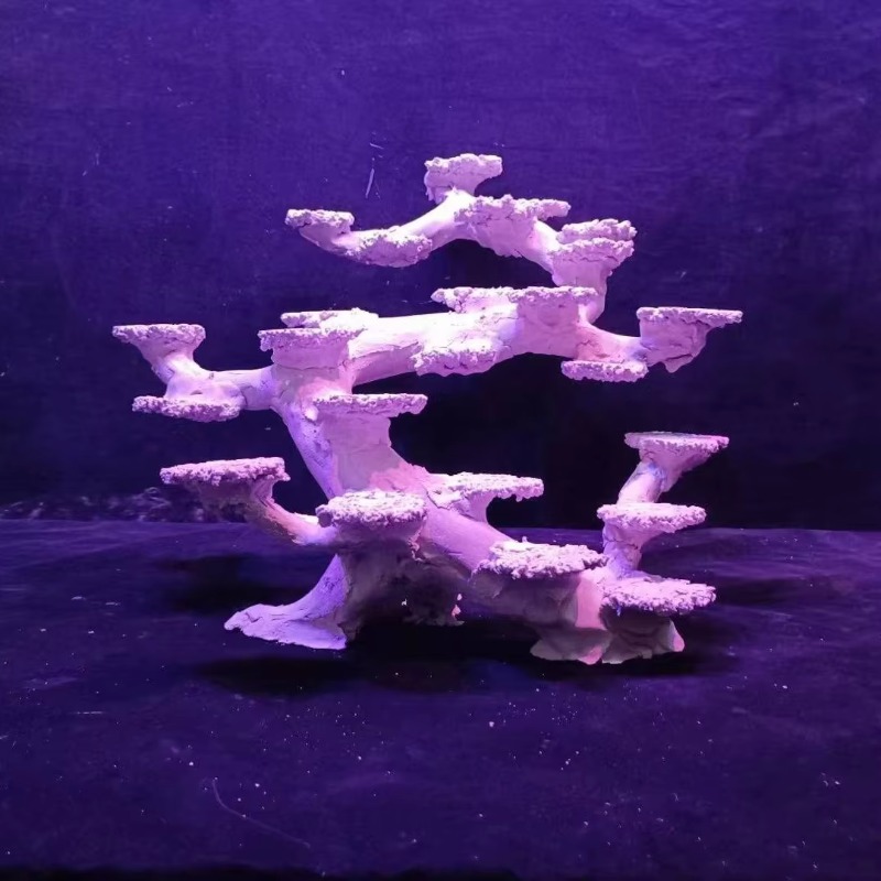 Aquascaping Saltwater Aquarium - đánh giá và giá Aquarium Marine Rock