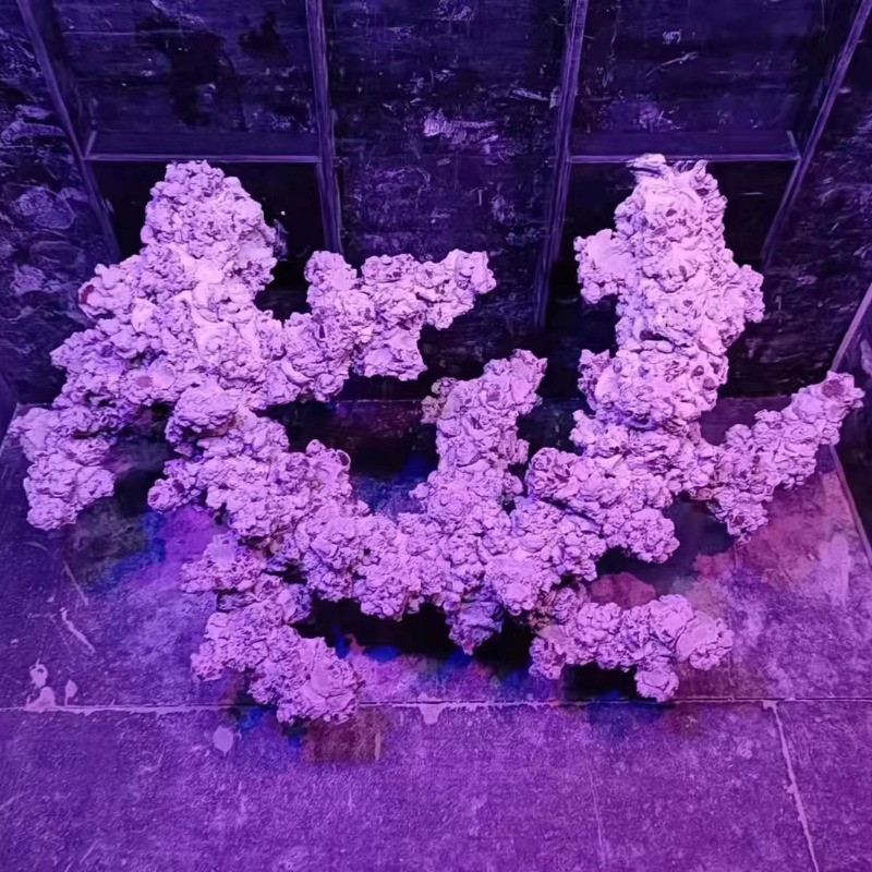 Aquascaping Saltwater Aquarium - đánh giá và giá Aquarium Marine Rock