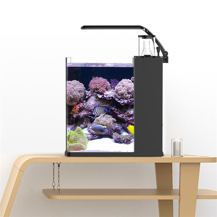 Skynuo Ultra Clear Glass Mini  - đánh giá và giá Marine Aquarium Cube