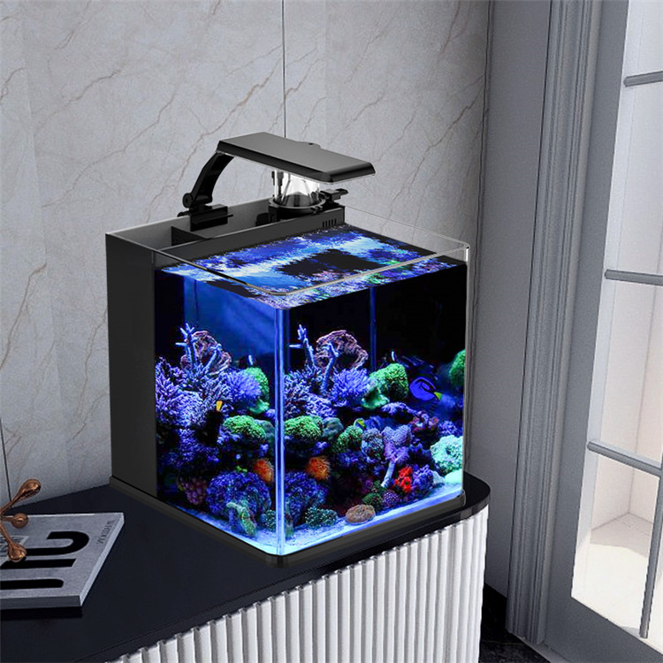 Skynuo Ultra Clear Glass Mini  - đánh giá và giá Marine Aquarium Cube