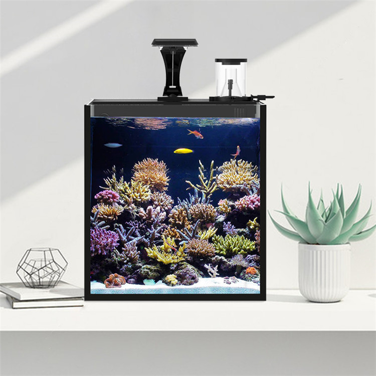 Skynuo Ultra Clear Glass Mini  - đánh giá và giá Marine Aquarium Cube