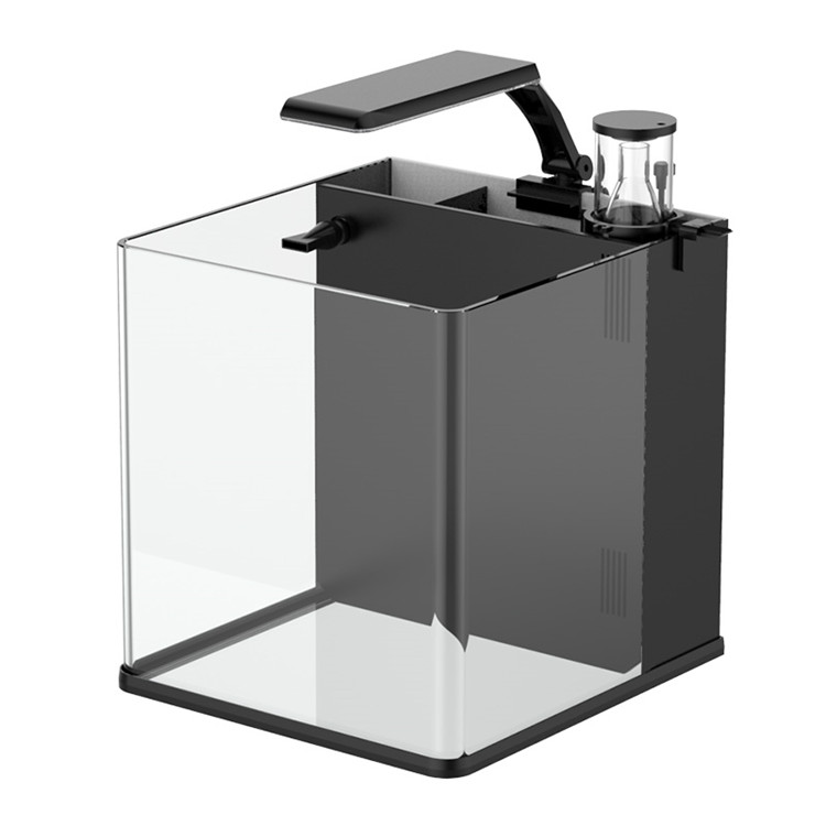 Skynuo Ultra Clear Glass Mini  - đánh giá và giá Marine Aquarium Cube