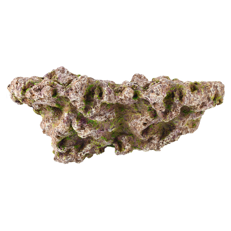 Vastocean Bể Cá Từ San Hô Frag - đánh giá và giá Aquarium Marine Rock