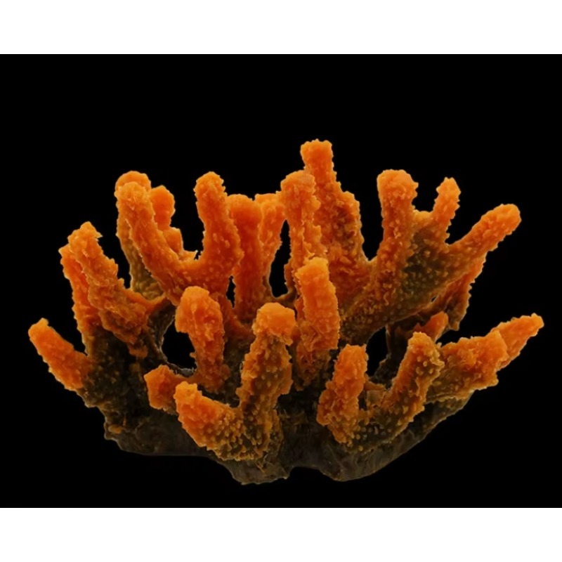 Artificial Resin Coral Reef Aq - đánh giá và giá Aquarium Marine Rock