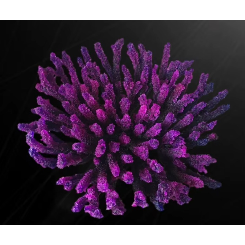 Artificial Resin Coral Reef Aq - đánh giá và giá Aquarium Marine Rock