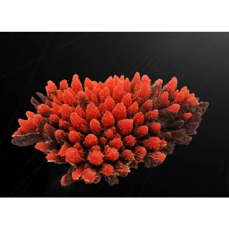Artificial Resin Coral Reef Aq - đánh giá và giá Aquarium Marine Rock