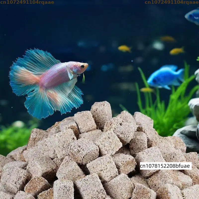 Aquarium Fish Feeder Matching  - đánh giá và giá Marine Aquarium Cube