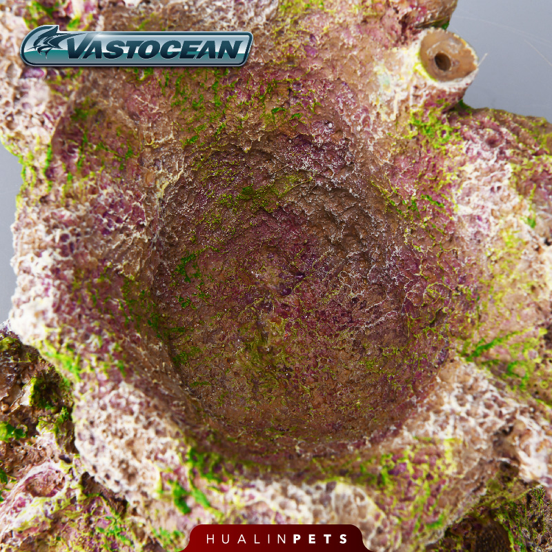 Vastocean Artificial Anemone C - đánh giá và giá Aquarium Marine Rock