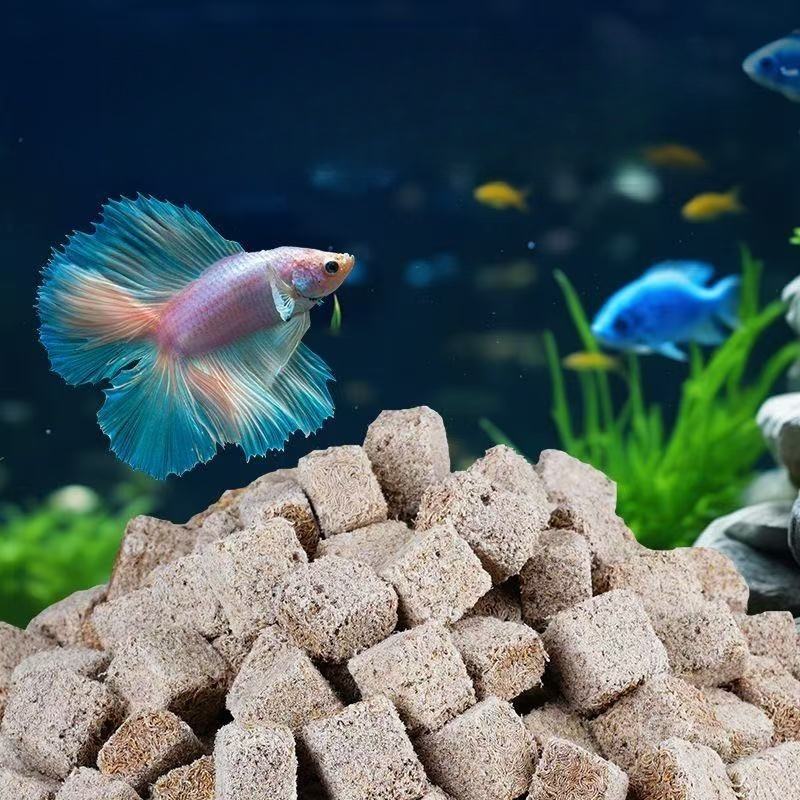 Natural Freeze Dried Bloodworm - đánh giá và giá Marine Aquarium Cube