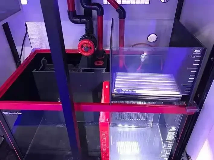 Neptunian Cube Refugium LED Li - đánh giá và giá Marine Aquarium Cube