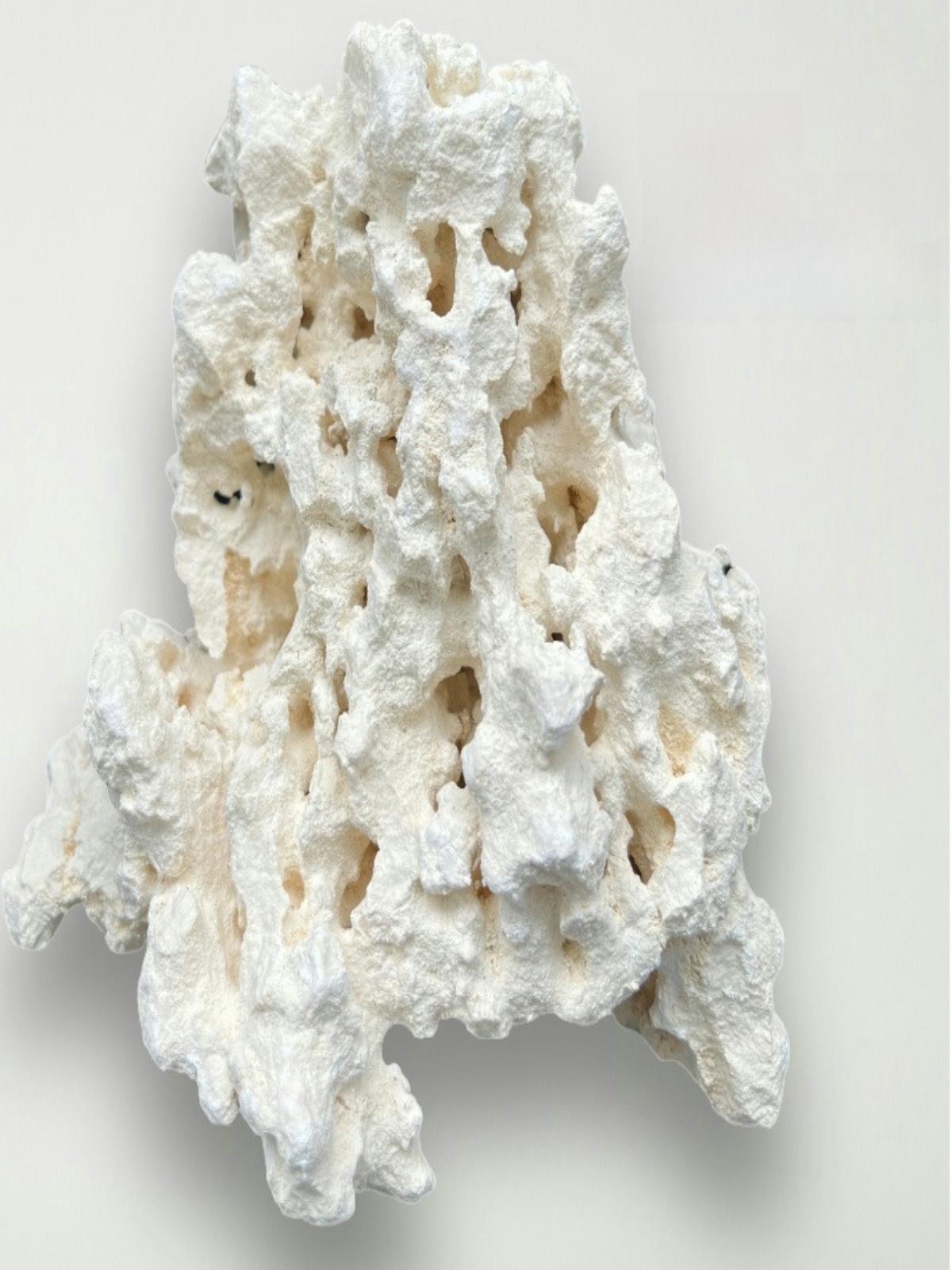 Kilago Dry Rock Natural Coral  - đánh giá và giá Aquarium Marine Rock