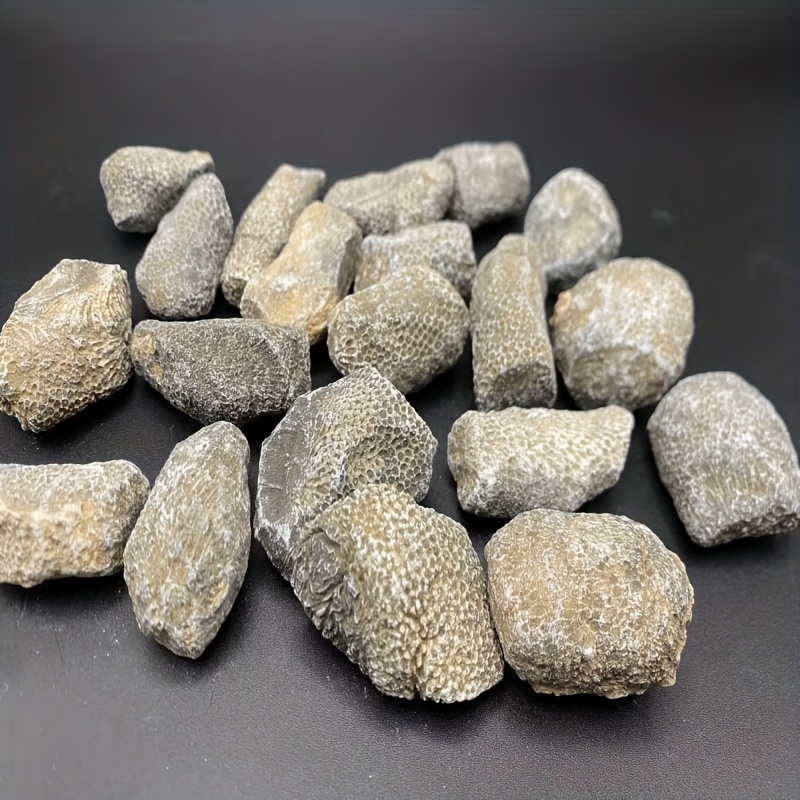 1pc Natural Coral Rock Suitabl - đánh giá và giá Aquarium Marine Rock