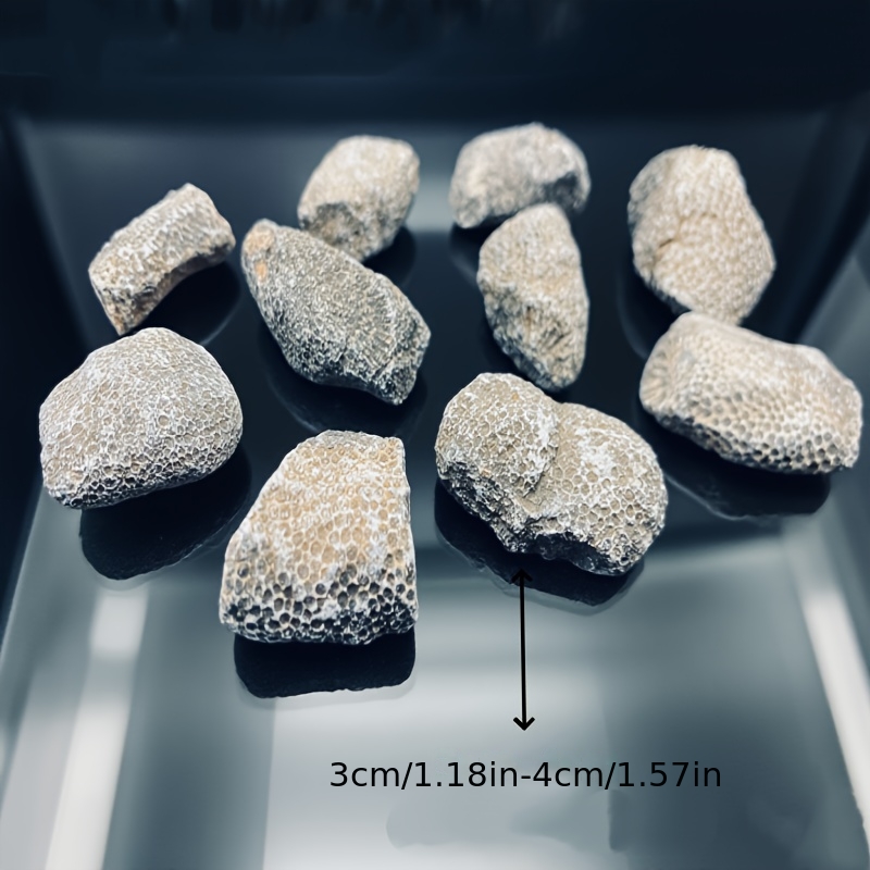 1pc Natural Coral Rock Suitabl - đánh giá và giá Aquarium Marine Rock